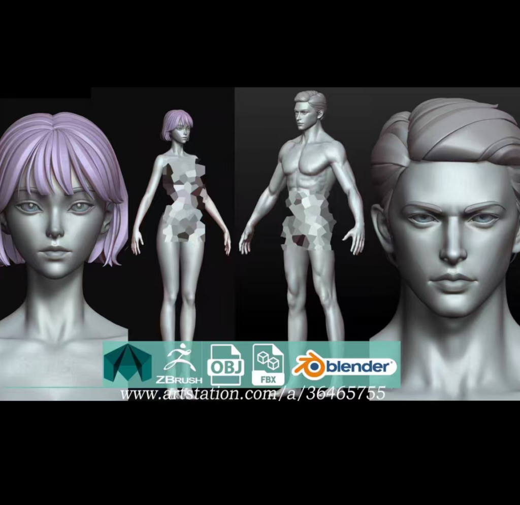 【顶级素材】Base Mash 9组半写实年轻男女人体解剖雕刻建模3D模型 — 图片 1
