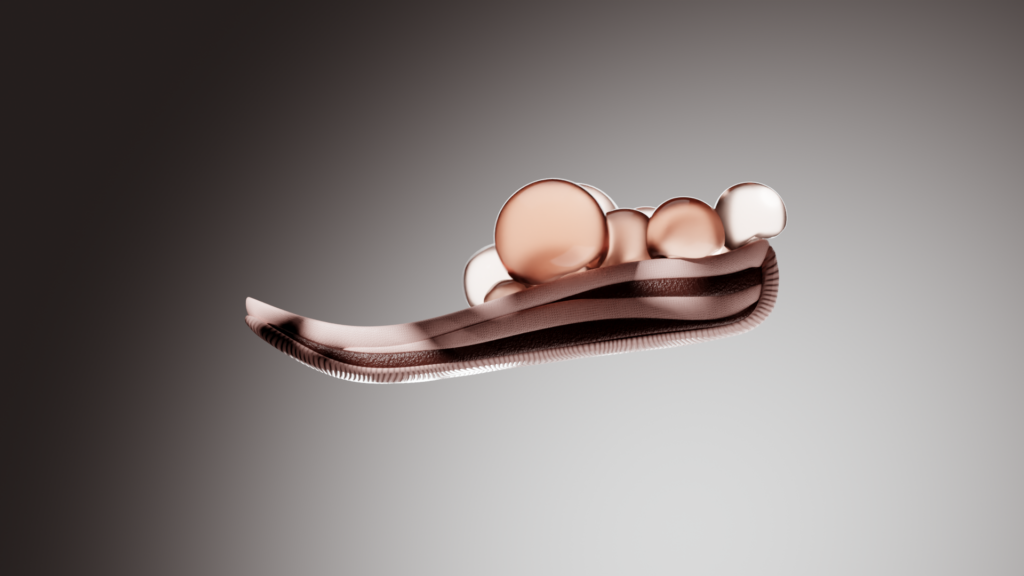 产品动画三合一 Cleverpoly blender — 图片 1