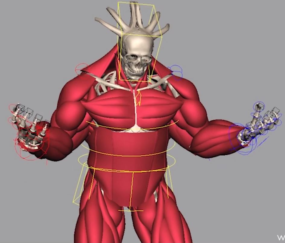 【高分稀有中文字幕】深入学习Houdini20.5 肌肉模拟动画全流程零基础到大师 — 图片 1