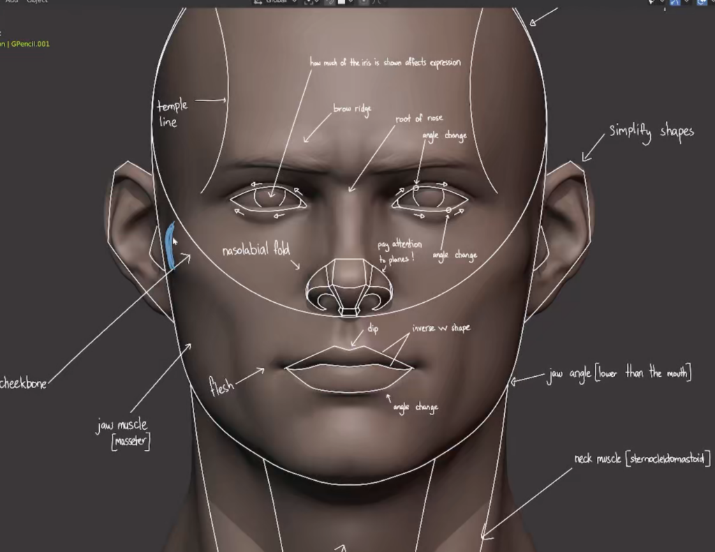 【中文字幕】Blender人物头部肌肉骨骼3D建模雕刻大师高级教程 Gumroad – Master Sculpting Heads (V1.4) — 图片 1