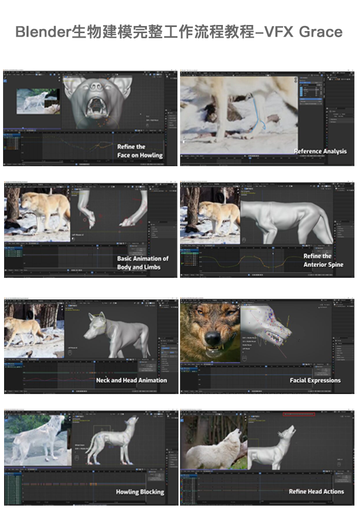 [中文字幕]Blender生物建模完整工作流程教程-VFX Grace — 图片 3