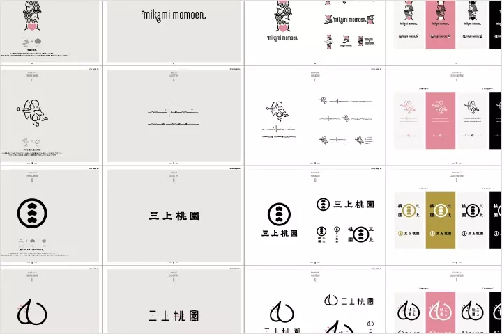 以LOGO为核心的强势品牌设计实践讲座 — 课程示例 5