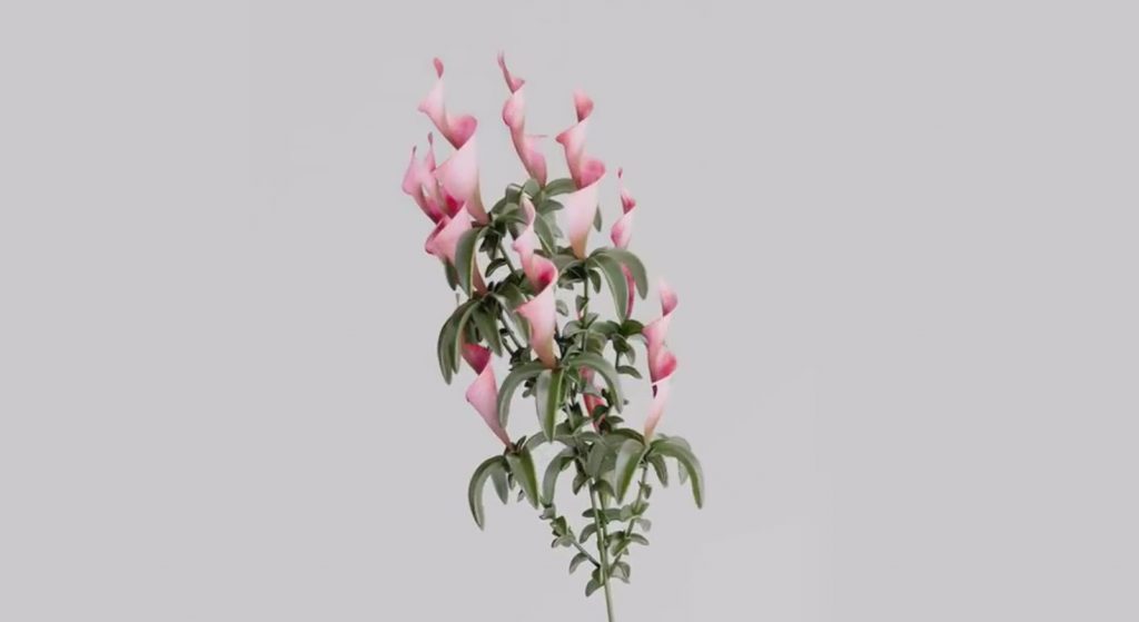 [中文字幕]C4D+RS国外大佬动态教程案例合集 — 图片 5
